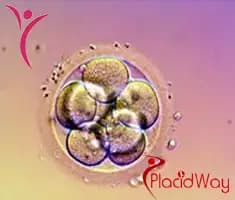 Slider image (6) Main Line Fertility Center